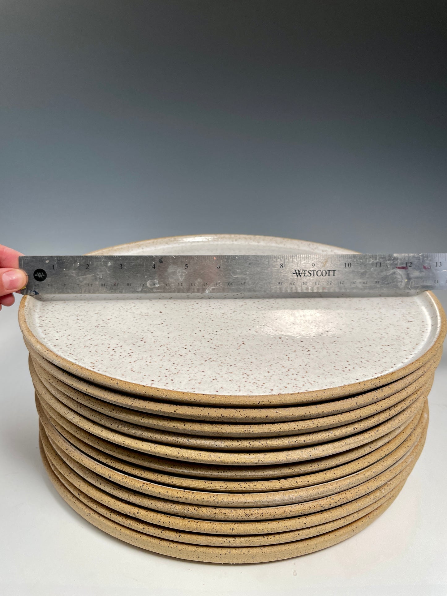 White speckle plates