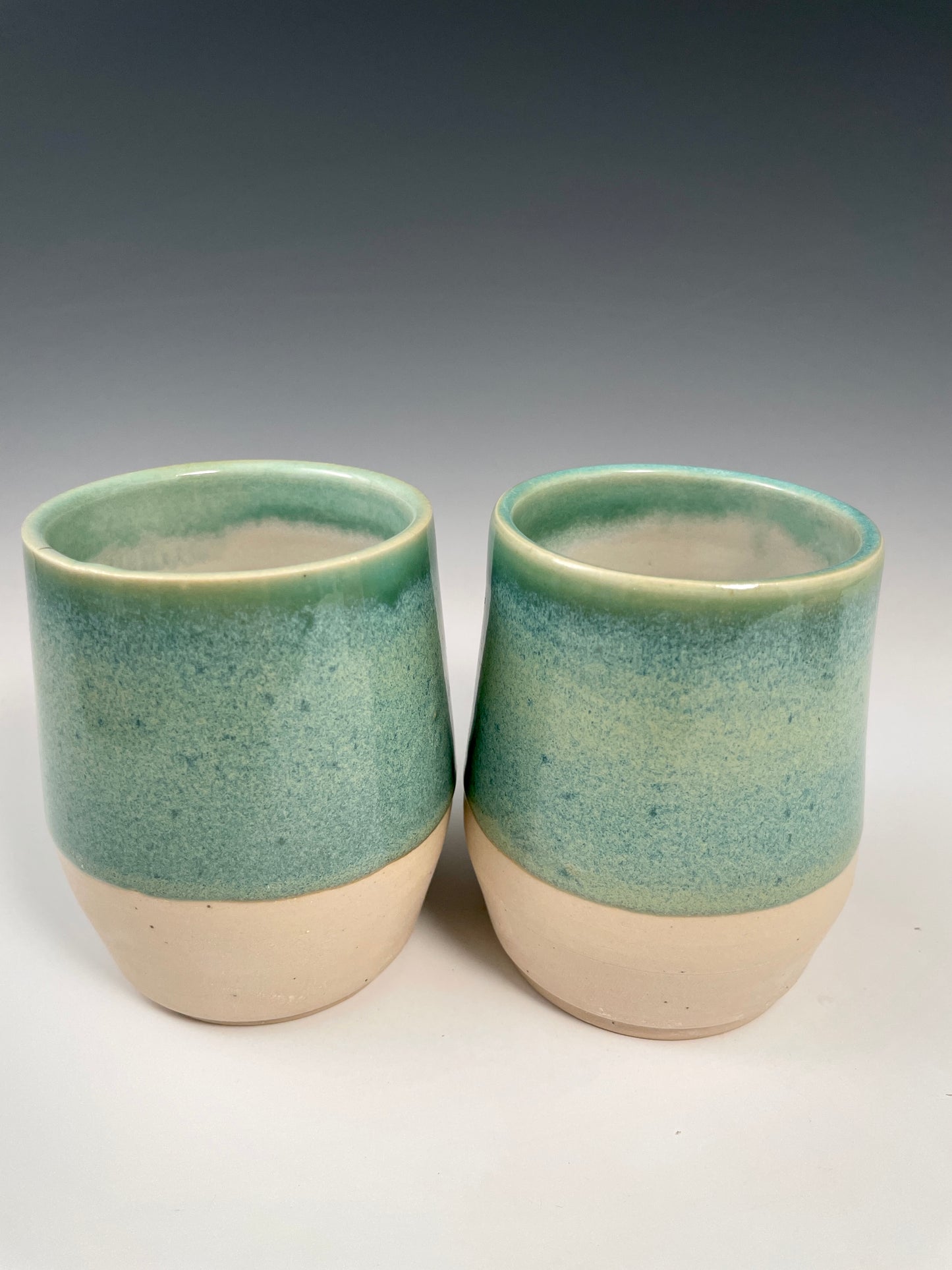 Stemless Wine Glass Pair