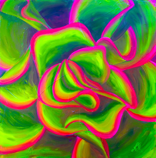 Succulent